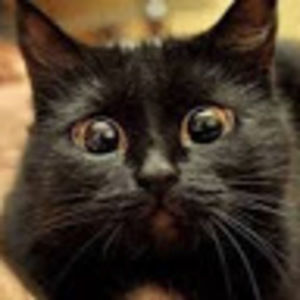 Meet your Posher, Claire